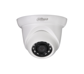 Camera bán cầu IP 2MP DAHUA DH-IPC-HDW1230DV-S6